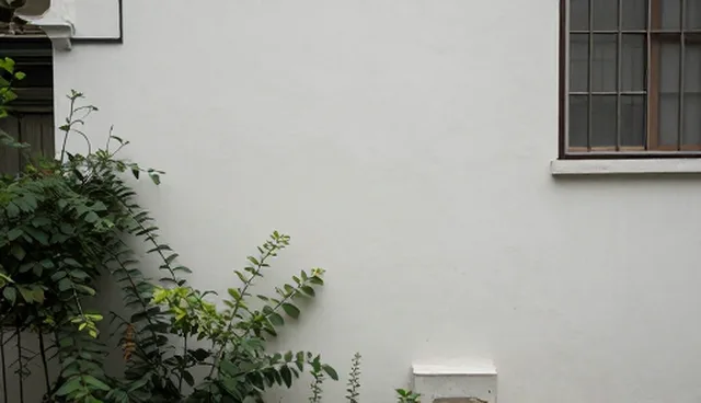 信息团队服务提供中的常见问题与处理方法